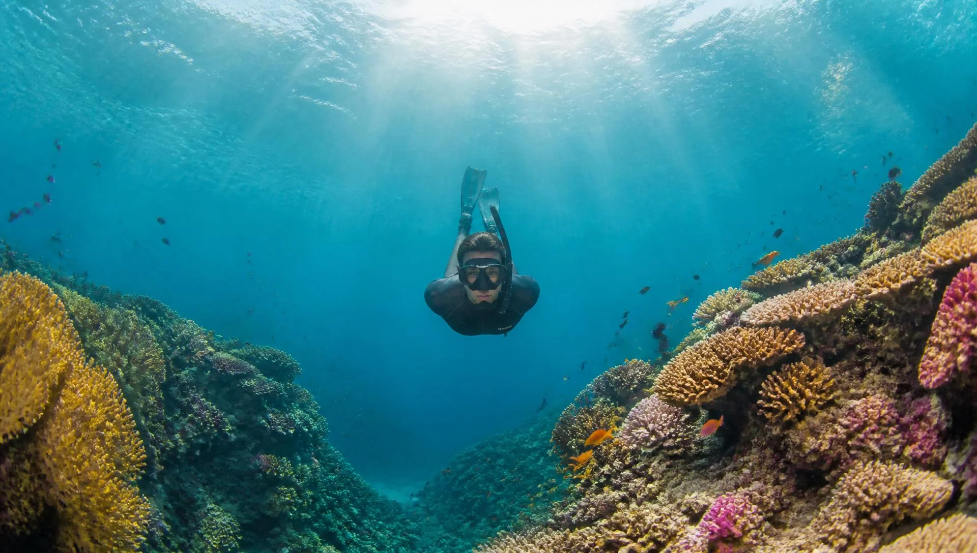 Red Sea coral reef with a freediver, Sharm El Sheikh